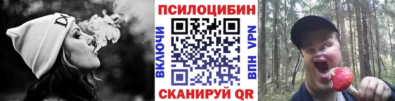 купить цена Шарья Псилоцибиновые грибы Magic Shrooms