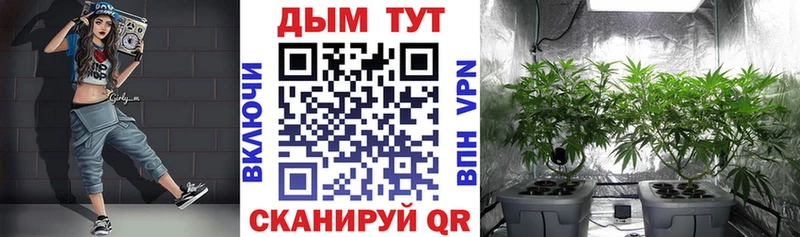 OMG рабочий сайт  Шарья  Бошки марихуана марихуана 